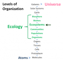 the scientific study of the processes influencing the distribution and abundance of organisms, the interactions between organisms and the transformation and flux of energy and matter