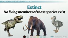 (of a species, family, or other larger group) having no living members 