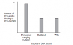 A scientist carries out a DNA probe to determine whether a husband and wife carry a genetic mutation which causes a serious genetic disorder in homozygous carriers. The graph below shows the DNA probe results.


Explain how the geneticist came to ...