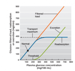 Clearance rate of glucose --> 0 ml/min


positive if glucose is high 


@ 200-180 mg - exceed ability to recapture glucose -->380 max