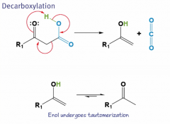 



Hydrogen from the hydroxyl group within the carboxylic acid, is abstracted by the other carbonyl oxygen, pushing several electrons and forming carboxylic acid. The second product (enol intermediate) undergoes tautomerization, reforming the car...