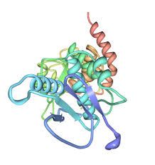Las proteínas son moléculas formadas por cadenas lineales de aminoácidos.
Por sus propiedades físico-químicas, las proteínas se pueden clasificar en proteínas simples, formadas solo por aminoácidos o sus derivados; proteínas conjugadas, ...