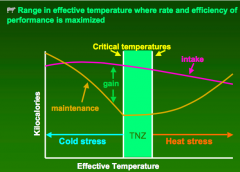  Thermal Neutral Zones