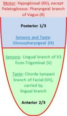1) General Sense
 Anterior 2/3 - lingual branch of the mandibular division of V3
 Posterior 1/3 – glossopharyngeal (IX)
2) Taste
 Anterior 2/3 – facial (VII) via the lingual. ie) taste fibres travel in the lingual
nerve from the...