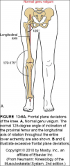-angle between the femur and the tibia
-normally 170-175 degrees
-femur sits at125 degree angle to the longitudinal axis of rotation