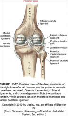 -resists varus forces
-resists knee extension
-resists extreme knee rotation