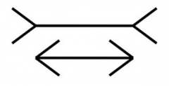 two horizontal lines are the same length, but the outward-pointing “fins” cause our visual system to see the top line as longer than the line with inward-pointing “fins.”
