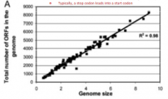 Consistently observe that bacterial genomes encode about 1 open reading frame for every 1000 base pairs of DNA regardless of size

Most bacterial genomes don't have a lot of "junk" DNA, that they are very streamlined 