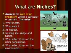 the function or position of a species within an ecological community; a species niche includes the physical environment to which it has become adapted as well as its role as producer and consumer of food resources