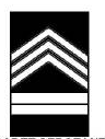 Army JROTC Cadet Ranks Flashcards - Cram.com