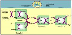 Metabolic processes use NADH and [FADH2] to transport electrons in the form of hydride ions (H-). These electrons are passed from NADH or [FADH2] to membrane bound electron carriers which are then passed on to other electron carriers until they a...