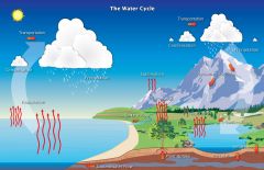 the continuous process by which water is circulated throughout the Earth and the atmosphere through evaporation, condensation, precipitation, and the transpiration of plants and animals; also called hydrologic cycle 