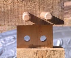Wooden peg used to pin together mortise and tenon joints.