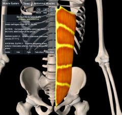 * Compression of abdominal content

* Flexion of the vertebral column (flexion of the trunk)
                 