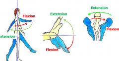 Always done in the SAGITTAL PLANE. 
Flexion=Anterior, Extension=Posterior (except knee)