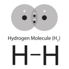 - electrons being shared by atoms 
-ex) h2
- happening between CHON in our body
- unpaired electrons will share 
- basis for organic molecules in our body 