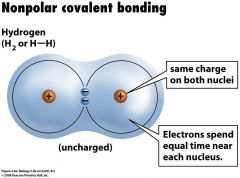 - electrons are equally shared 
-ex) h2
- equal sharing because nuclei are nearly identical 