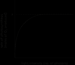14-62 If you shine light on chloroplasts and measure the rate of photosynthesis as a function of light intensity, you get a curve that reaches a plateau at a fixed rate of photosynthesis, x, as shown in Figure Q14-62.


Figure Q14-62

Which of the...