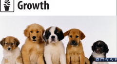GROWTHPuppiesIt takes energy to grow—chemical energy  