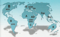 Kart med geografisk distribusjon av subtypene til et virus. Hvilket virus?