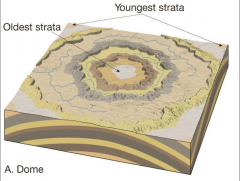 
somewhat circular portion of strata warped upward oldest rock in the 
middle, from compression (pushed together) stress on ductile rock