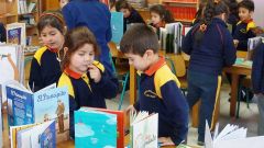 INICIOS DE LOS CRA EN ESPAÑA
A pesar de la existencia de Bibliotecas en los Centros Escolare, es hasta en los años noventa y comienzos del 2000 que se hacen diagnósticos en España , para ver la situación de las mismas.  Y es hasta en el año ...