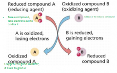 Takes a compound and takes electrons out to oxidize it