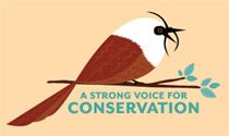 the act of conserving; prevention of injury, decay, waste, or loss; preservation: conservation of wildlife or conservation of human rights  