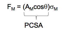 AM = Area of muscle 


 


Cos θ = Cosine of penation 