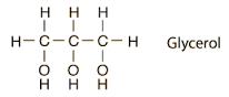 small, 3 carbon molecule with 3 alcohol (OH) groups