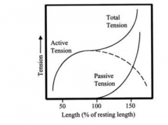 Active tension + passive tension 


 


tension = force produced