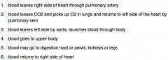 7. lymph enters blood