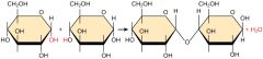 -process that bonds monomers to form polymers 
-to make bonds to remove H2O