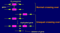 - deletions can be caused by recombination between two nearby Alu or LINE elements. 
- They may arise from unequal crossing over between repeats