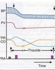 What are the immediate/short term effects of thiazides on BP?


 


What are the long term effects?