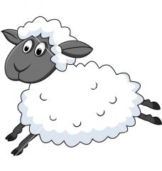 A lamb