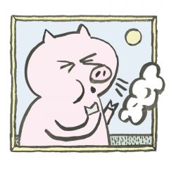 Sneezing Pigs