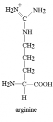 Arginine has 3 NH3 and 3 CH2