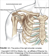 -glenohumeral
-scapulothoracic
-acromioclavicular
-sternoclavicular