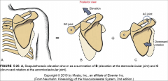 Combination of elevation at the sternoclavicular joint and downward rotation at the acromioclavicular joint