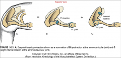 Combination of protraction at the sternoclavicular joint and slight internal rotation at the acromioclavicular joint