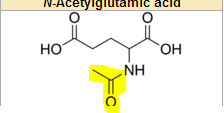it is synthesized in our body from Acetyl CoA and glutamate