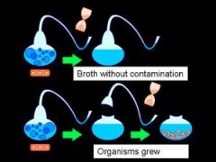 -a French biochemist first hired to determine why wine would rot in the barrels 
-determined that microbes in air were responsible for rotting
 -disproved spontaneous generation with swan neck flask experiment 
 -developed first  vaccine for rabie...