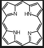 glycine

4 pyrrole rings