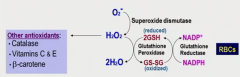 O2- --superoxide dismutase--> H2O2 (which is actually worse) 
but + 2GSH --glutathione peroxidase--> 2H2O + GS-SG (oxidized glutathione) (RBC specific)

To recycle GSH, HMS's NADPH regenerates GSH via glutathione reductase (RBC specific)

Can...
