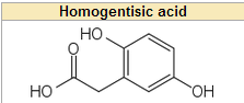 an intermediate metabolite called homogentisic acid