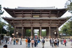 #197 


Gate 


on site of the Todai-ji 


_____________________


Content: 
