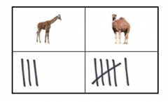 This chart shows the number of giraffes and camels at the zoo. Are there more giraffes or camels?