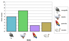 This graph shows the number of seagulls, ducks, parrots and swans at the zoo. How many more ducks than seagulls are there?