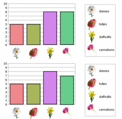 In a flower garden, there are 5 daises, 5 tulips, 8 daffodils, and 7 carnations. Which graph shows this data correctly?